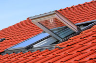 The Inch roof window